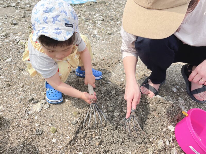 親子で潮干狩りをしている