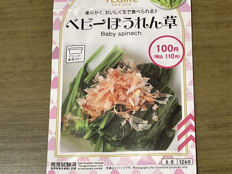 ダイソーのほうれん草の種