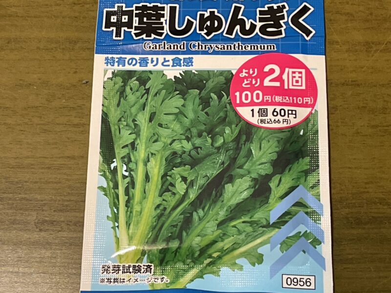 ダイソーの春菊の種