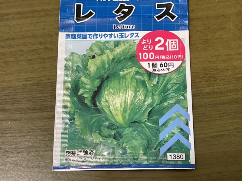 ダイソーの玉レタス